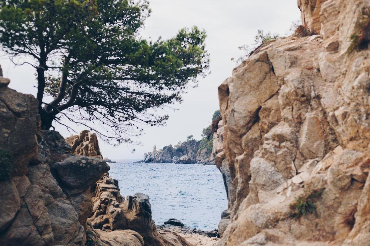 Cleopatra Spa Hotel Lloret de Mar Eksteriør bilde